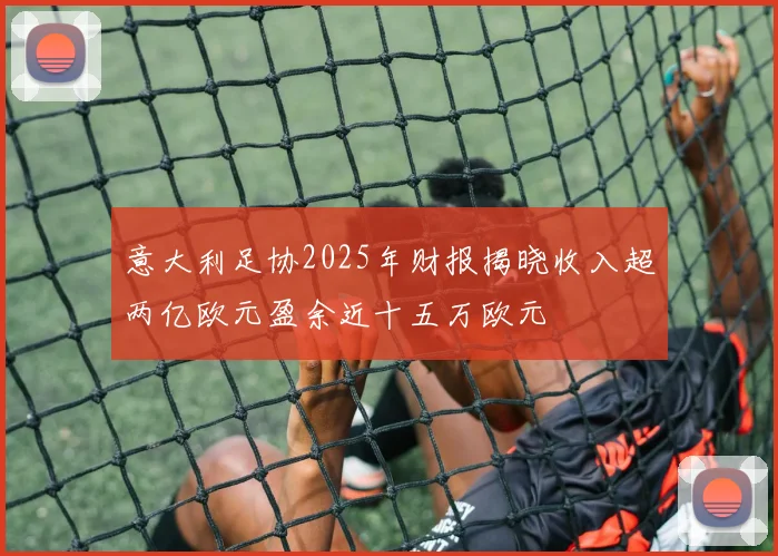 意大利足协2025年财报揭晓收入超两亿欧元盈余近十五万欧元